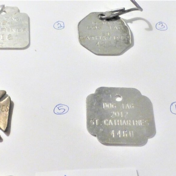 St. Catharines DOG TAG Vintage Dog Tag Pet Vintage Necklace - Picture 8 of 8